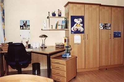 Schreibtisch, Rollschrank,
&nbsp;&nbsp;&nbsp;&nbsp;&nbsp;&nbsp;W&auml;scheschr&auml;nke